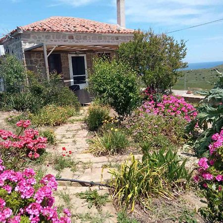 Cozy House With Amazing Sea View Daire Kaminia  Dış mekan fotoğraf